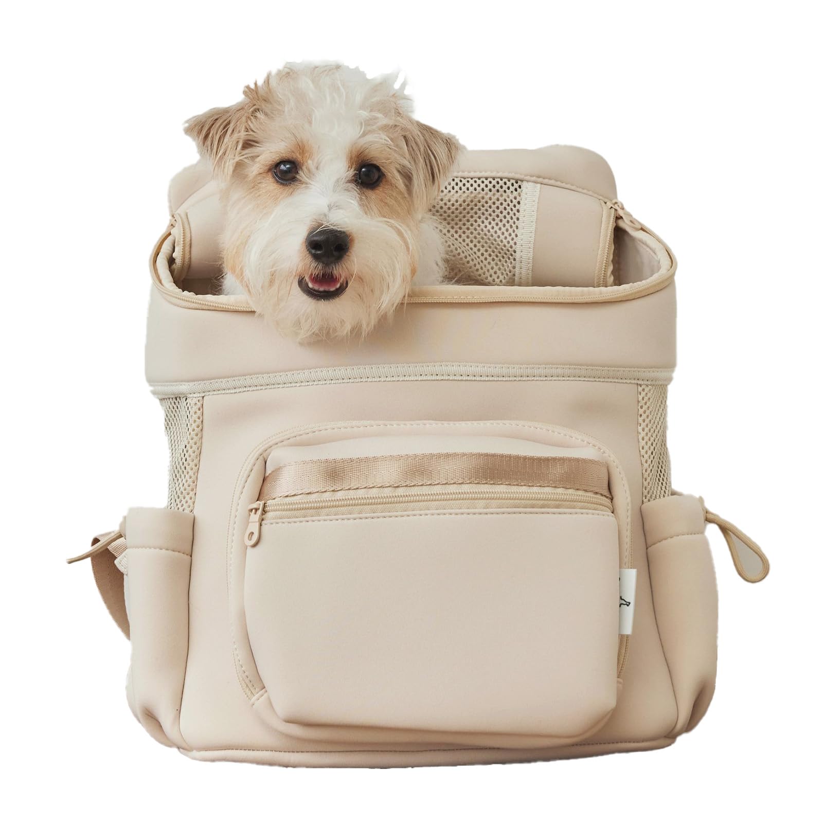 Amazon.co.jp: [citydog] ネオプレーンバックパックキャリー 【軽量