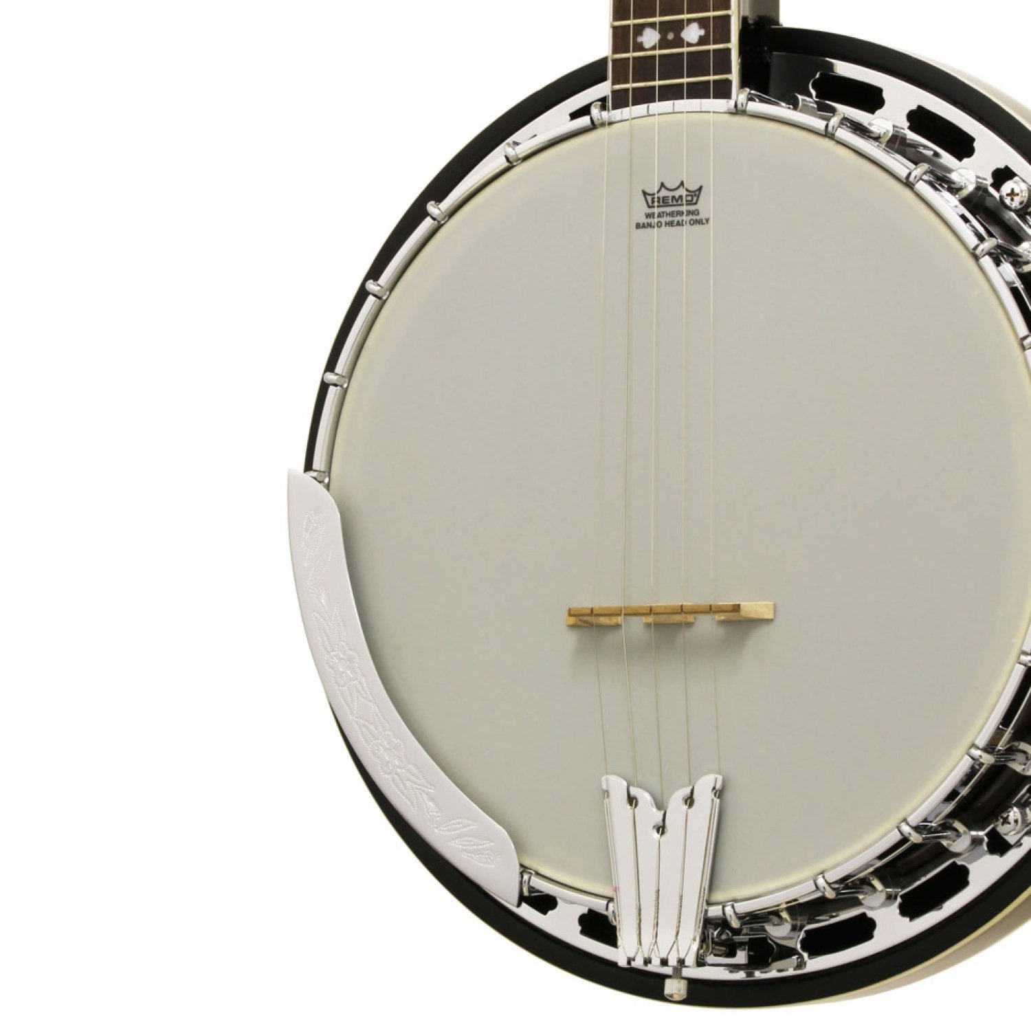 Amazon.co.jp: ARIA SB-40 5弦バンジョー アリア : 楽器・音響機器