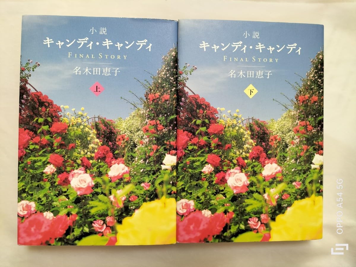絶版・初版・帯付き】小説 キャンディ・キャンディ上下巻セット