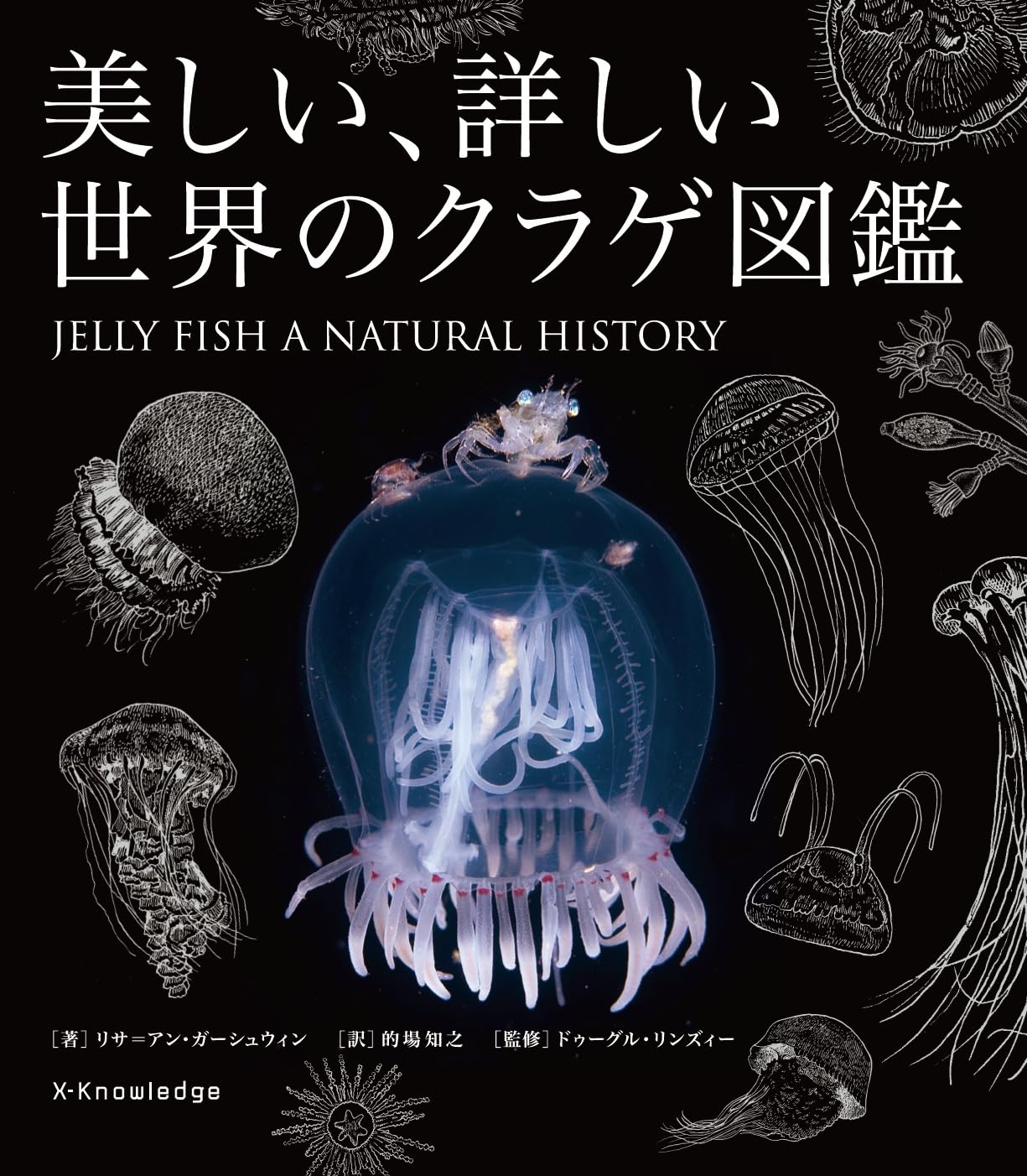 Amazon.co.jp: 美しい、詳しい世界のクラゲ図鑑 : リサ=アン