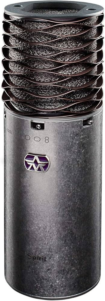 Amazon.com: Aston Microphones Spirit Large Diaphragm Multi-Pattern