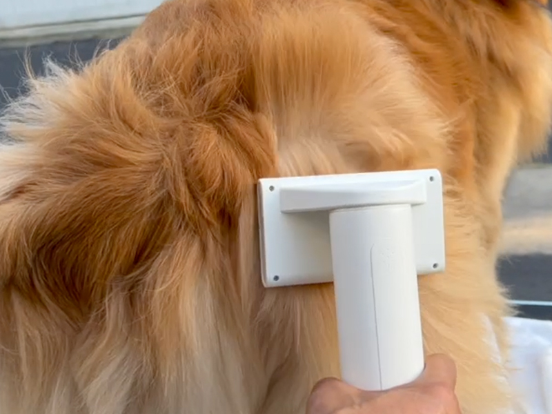 Amazon.co.jp: Jellyfish 犬ドライヤー ペットグルーミング用 ペット