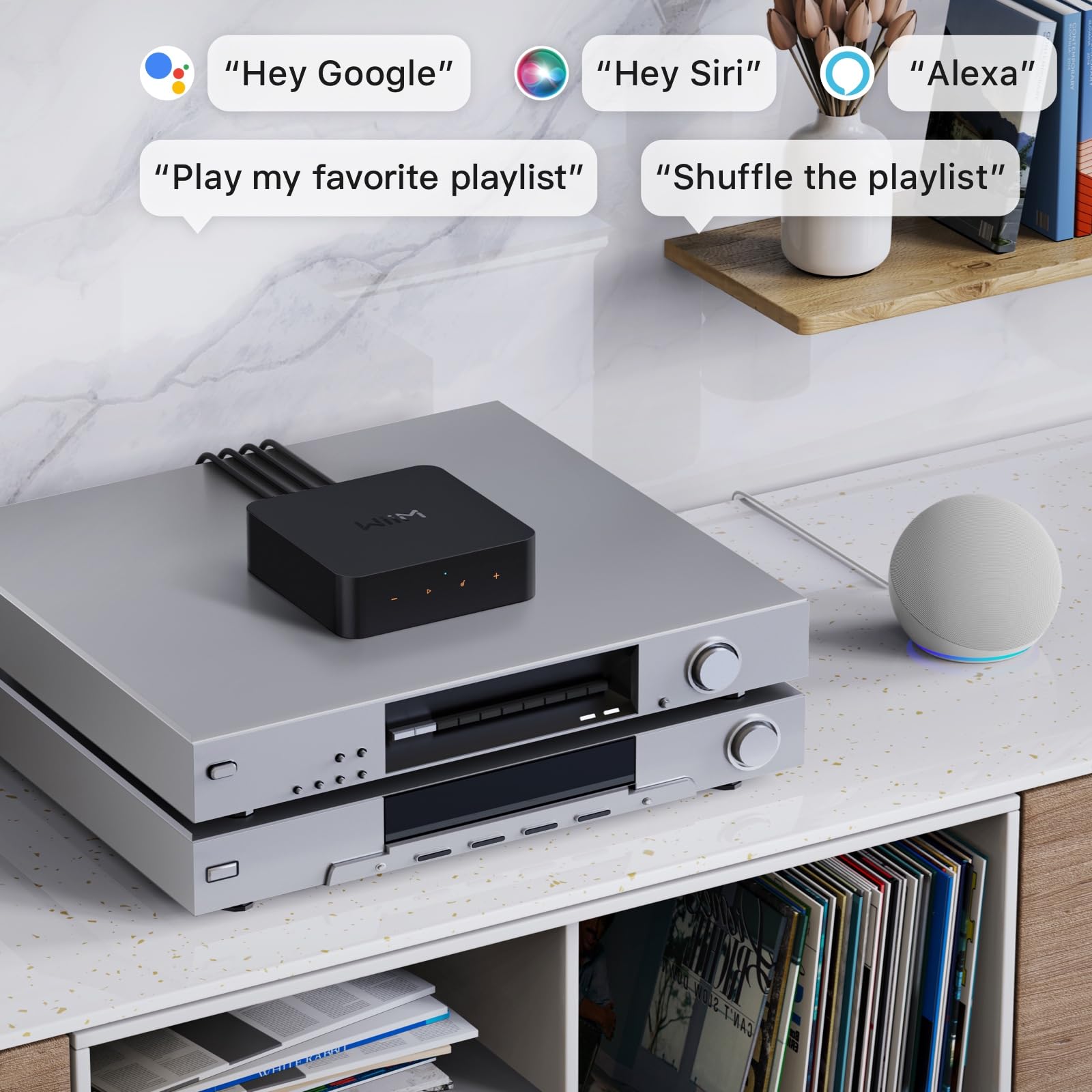 Amazon.com: WiiM Pro AirPlay 2 Receiver, Google Cast Audio, WiFi