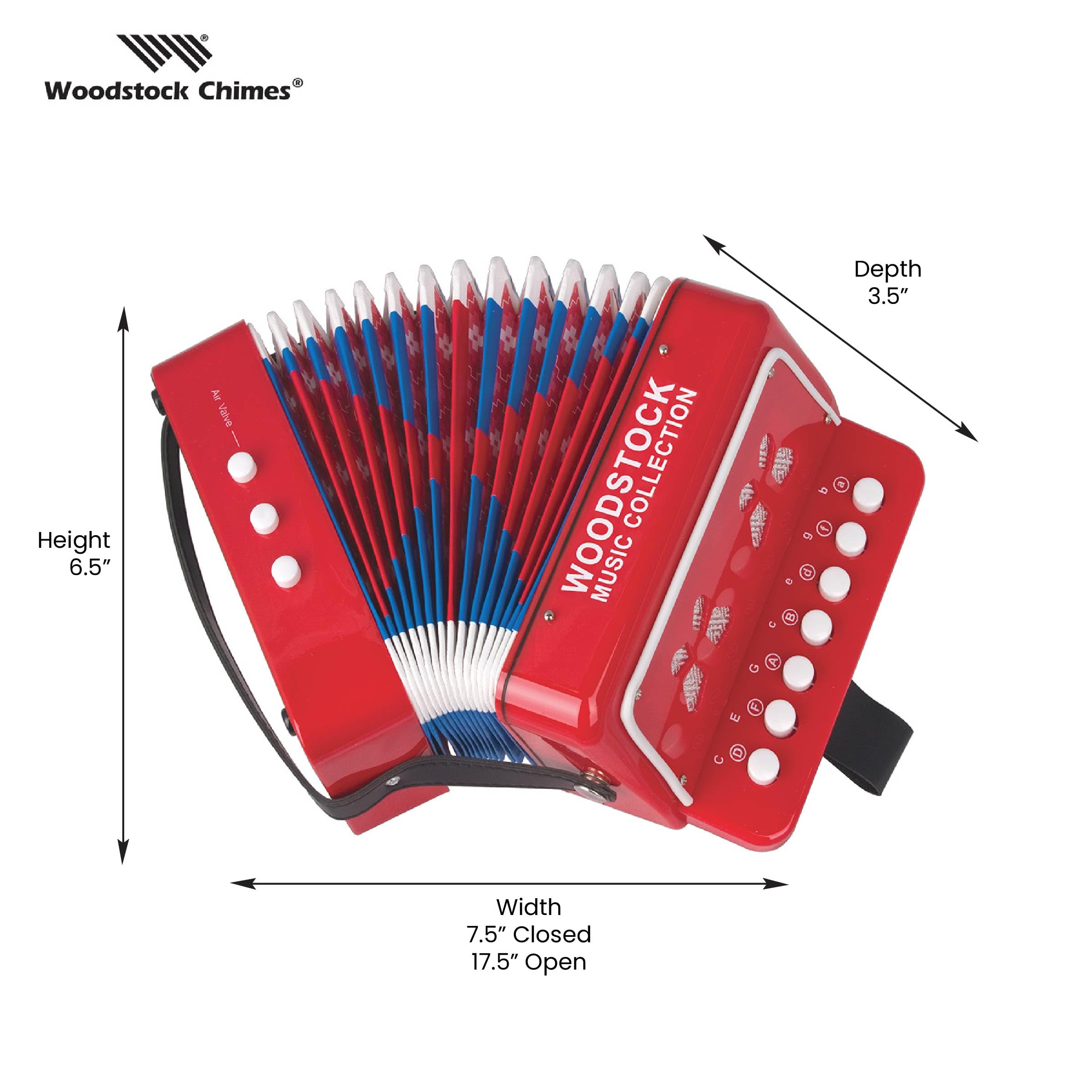 Amazon.com: Woodstock Kid's Accordion (7