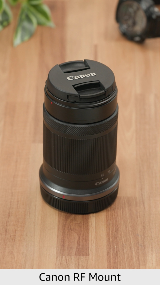 Canon RF-S55-210mm F5-7.1 is STM Lens : Amazon.ca: Electronics