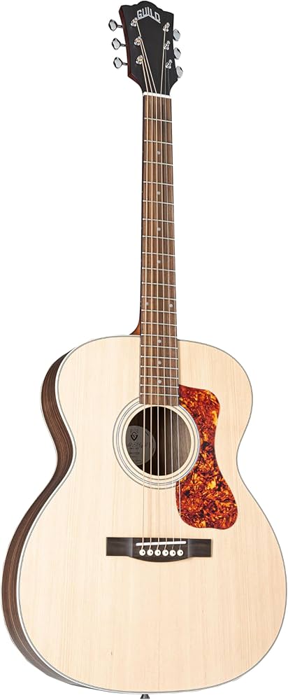 Amazon.com: Guild OM-250E Limited Archback Acoustic-electric