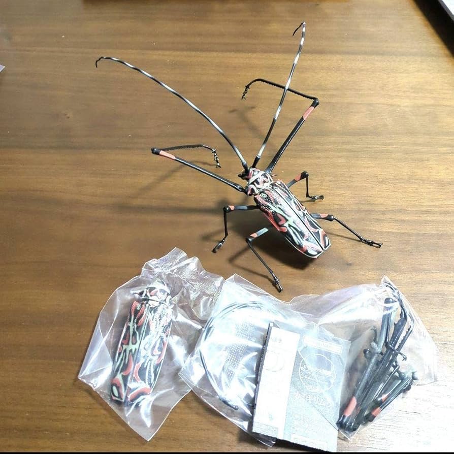 Amazon.co.jp: いきもの大図鑑アドバンス カミキリムシ テナガカミキリ