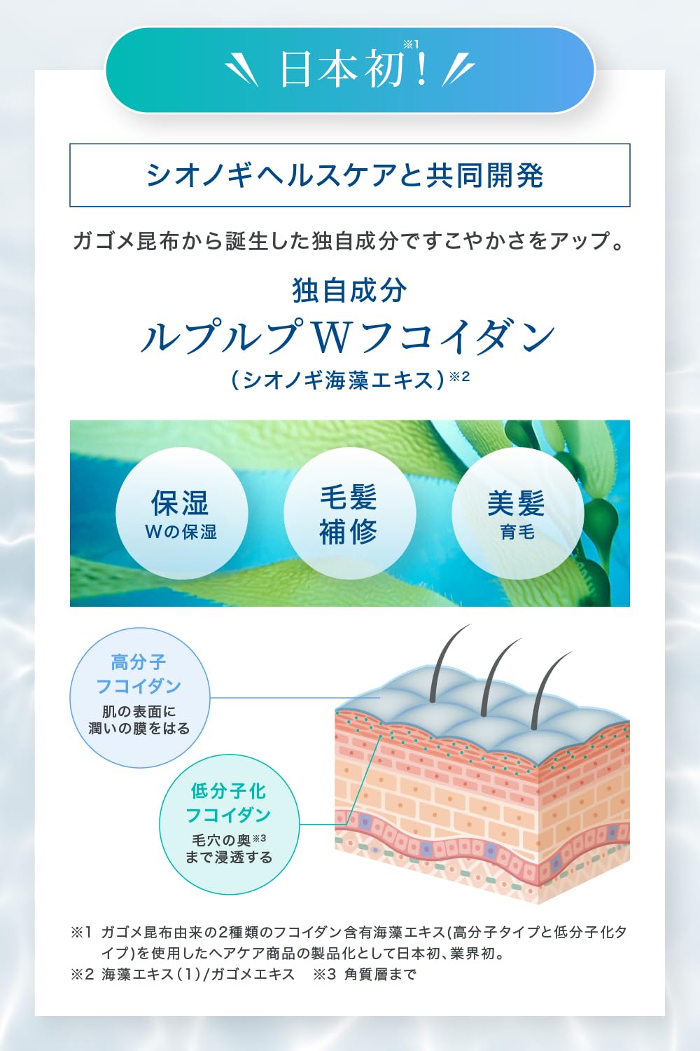 Amazon | 【白髪に3分/選べる5色】 ルプルプ LPLP エッセンス カラー