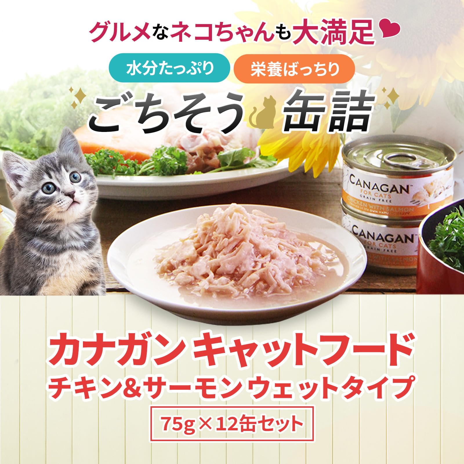 Amazon.co.jp: カナガン キャットフード チキン＆サーモン ウェット