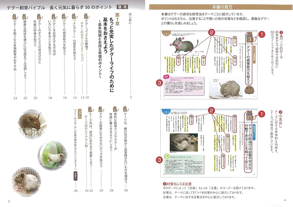新版あり】デグー 飼育バイブル 長く元気に暮らす50のポイント (コツが