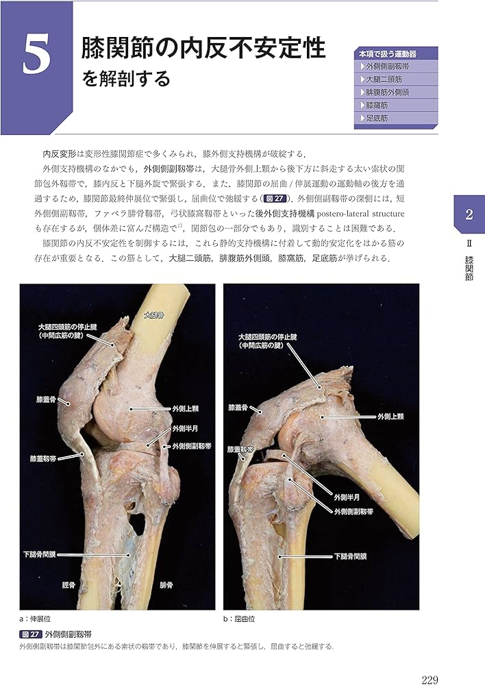 Amazon.co.jp: 運動療法その前に! 運動器の臨床解剖アトラス : 北村