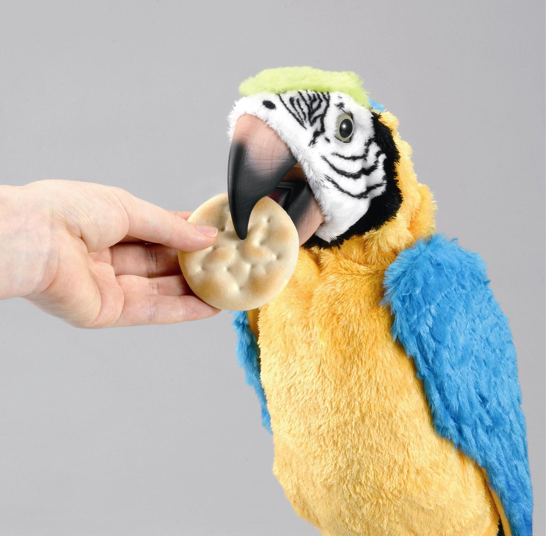 Amazon.co.jp: セガトイズ(SEGA TOYS) 夢おうむ : おもちゃ