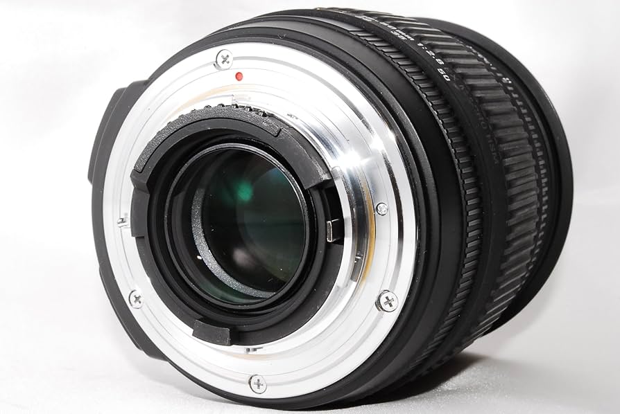 Sigma 18-50mm 2,8 EX Macro DC HSM Objektiv für Nikon: Amazon.de