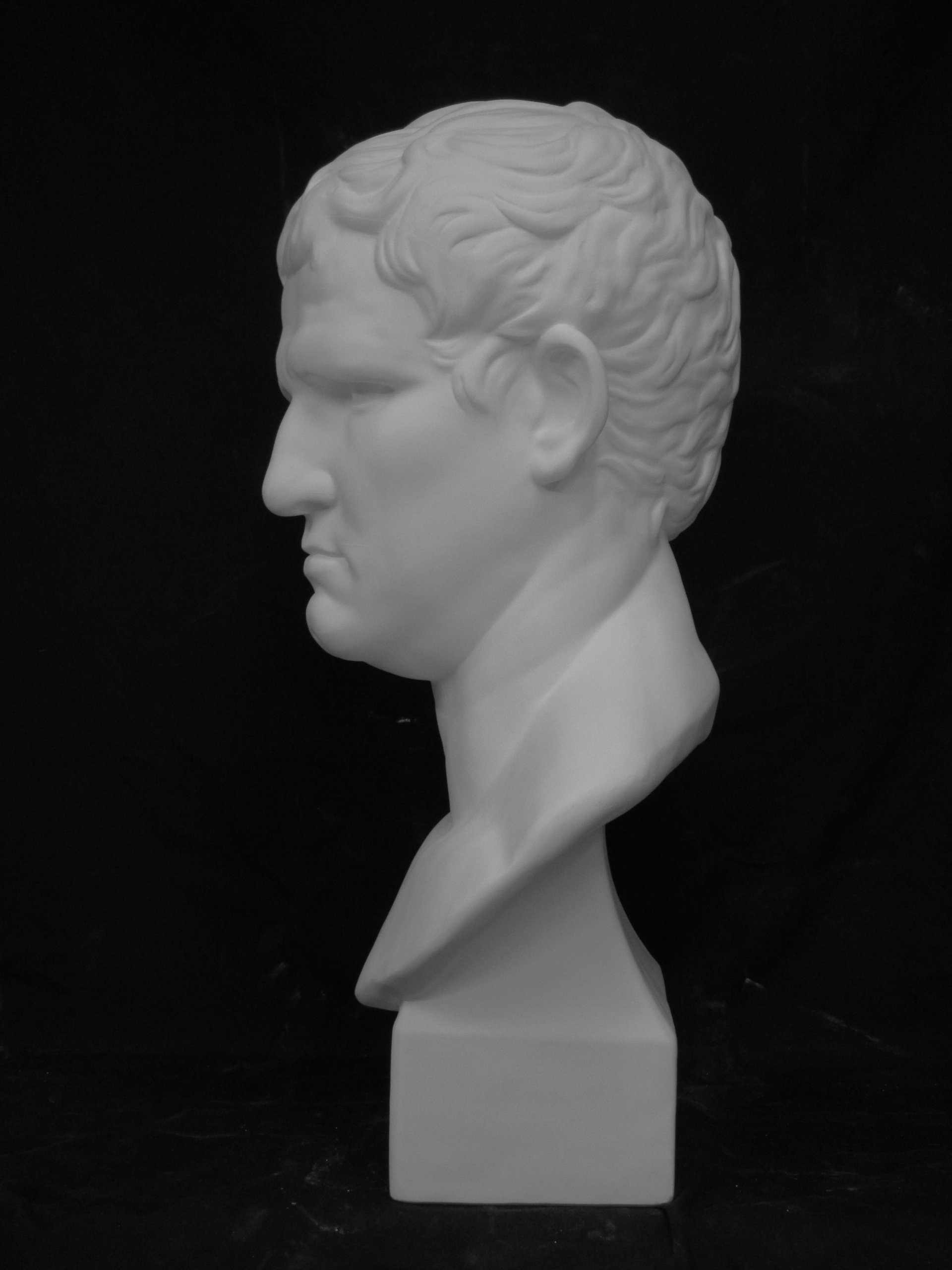 Amazon.co.jp: 石膏像 K－162 アグリッパ胸像（丸） H．58cm