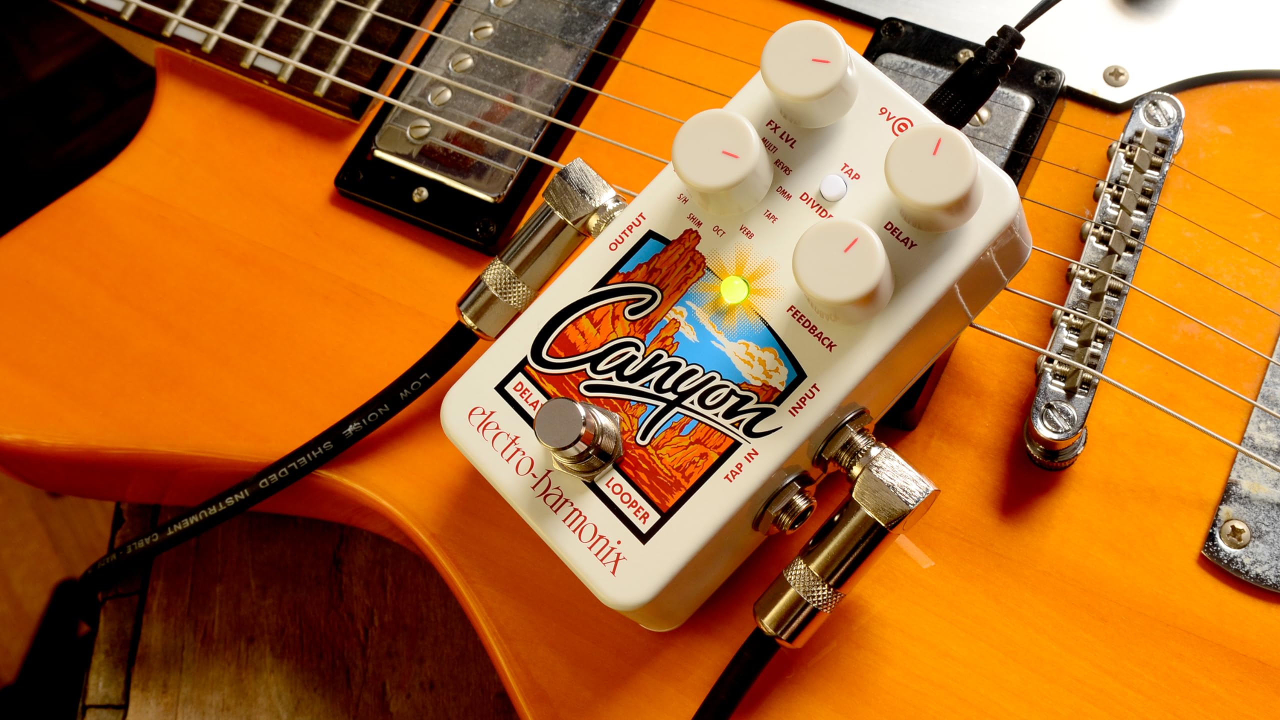 Amazon.com: Electro-Harmonix Canyon Delay & Looper Pedal : Musical