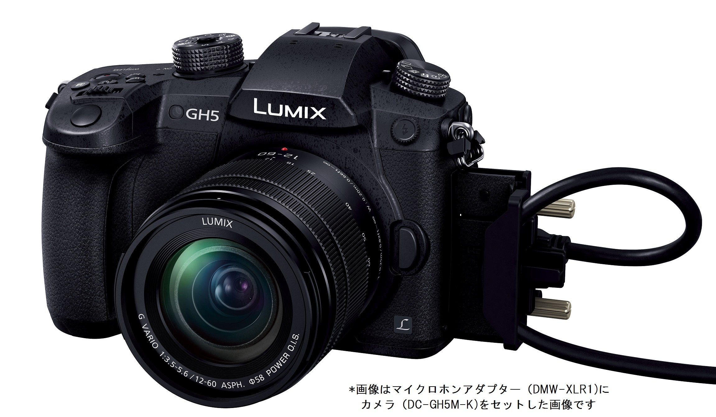 Amazon.co.jp: パナソニック (Panasonic)(Panasonic) DMW-XLR1 LUMIX