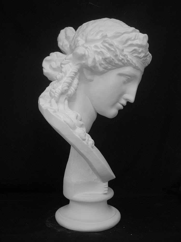 81OEnkH0sjL._AC_UF894,