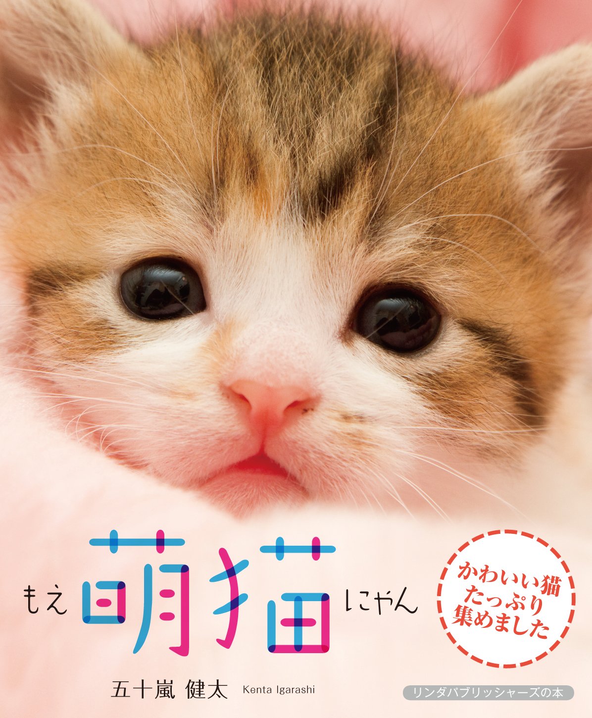 萌猫(もえにゃん) (リンダパブリッシャーズの本) | 五十嵐 健太 |本