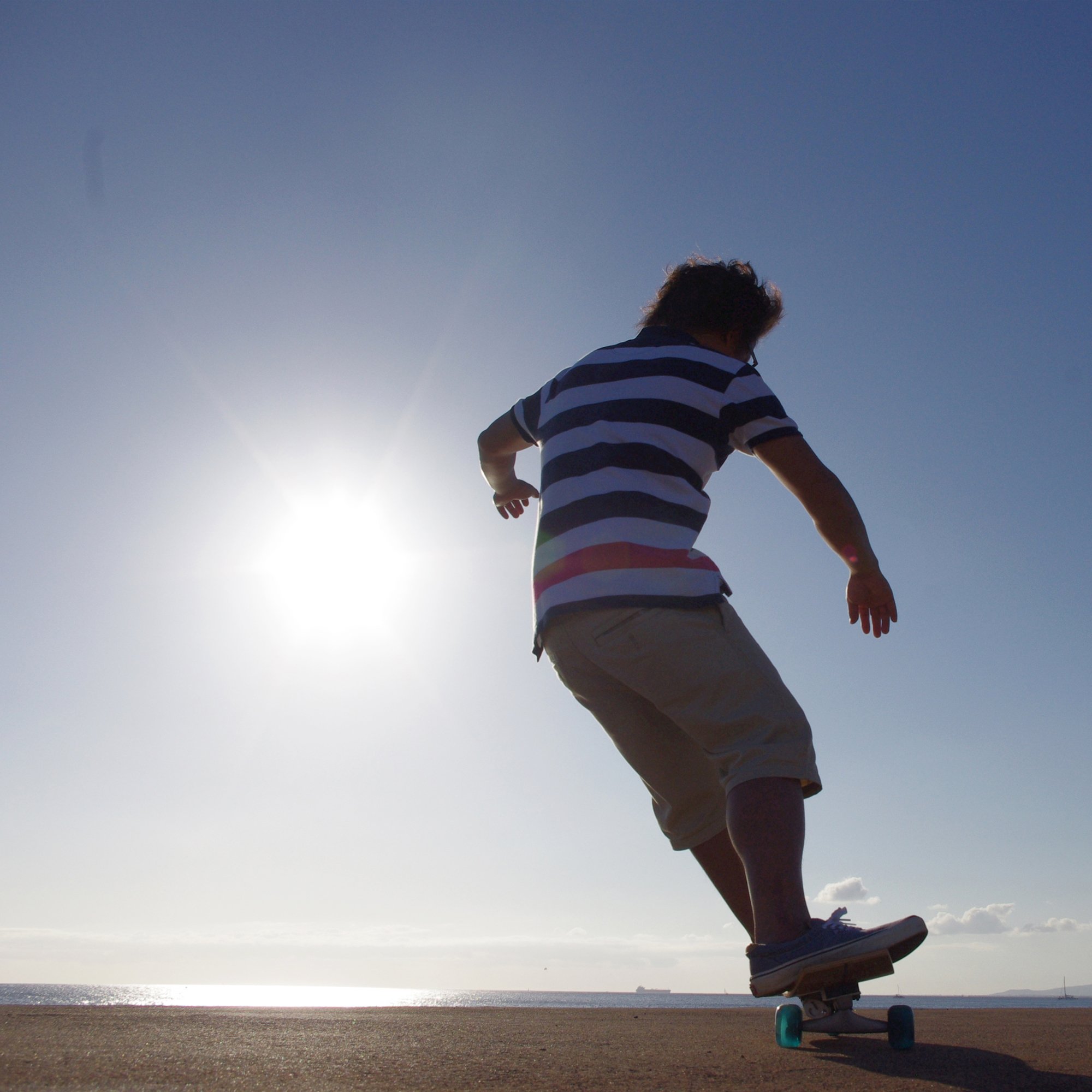 Amazon | TRY WHEEL(トライウィール) FISH 32