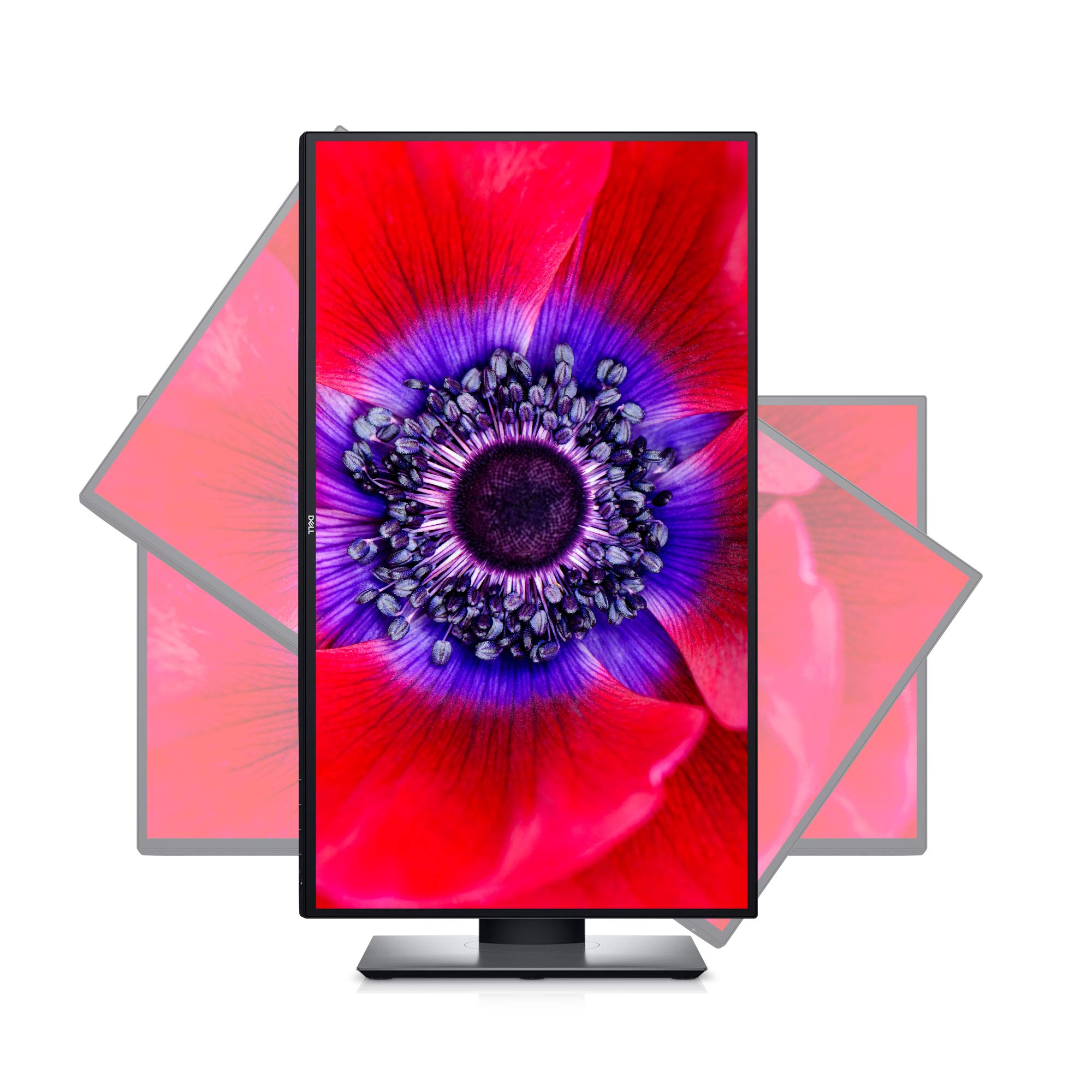 Dell UltraSharp U2520DR 25 inch LED-Backlit LCD Monitor - Black