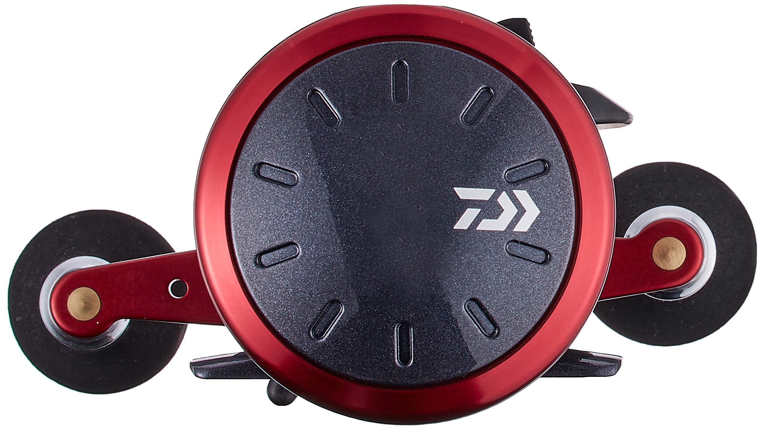 Amazon | ダイワ(DAIWA) 両軸リール 17 ダイナスター 150(2017モデル