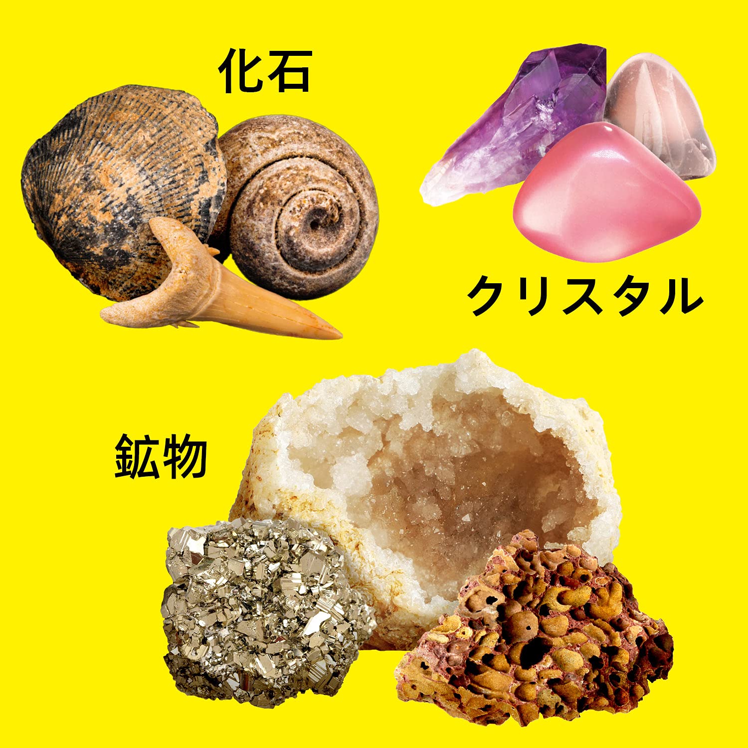 Amazon | XXTOYS 鉱石標本 宝石おもちゃ 化石 天然鉱石 ジオード 天然