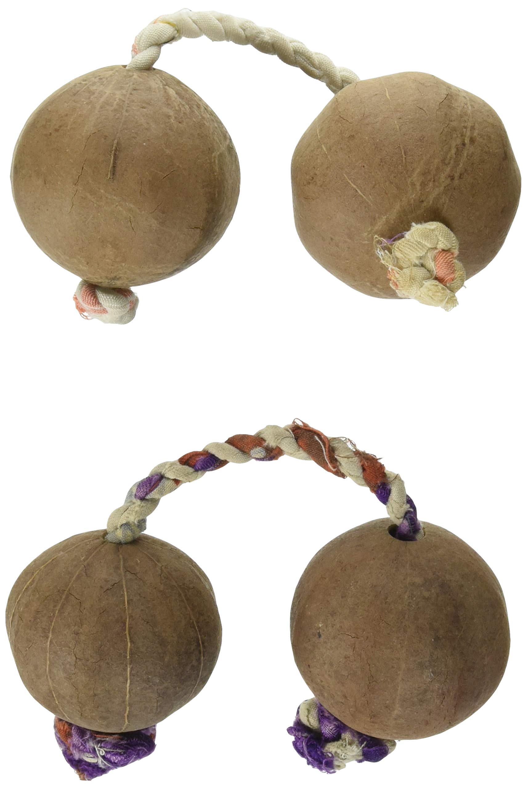 Amazon.co.jp: SOUND KING サウンドキング テレビ(パチカ) AS-756/2