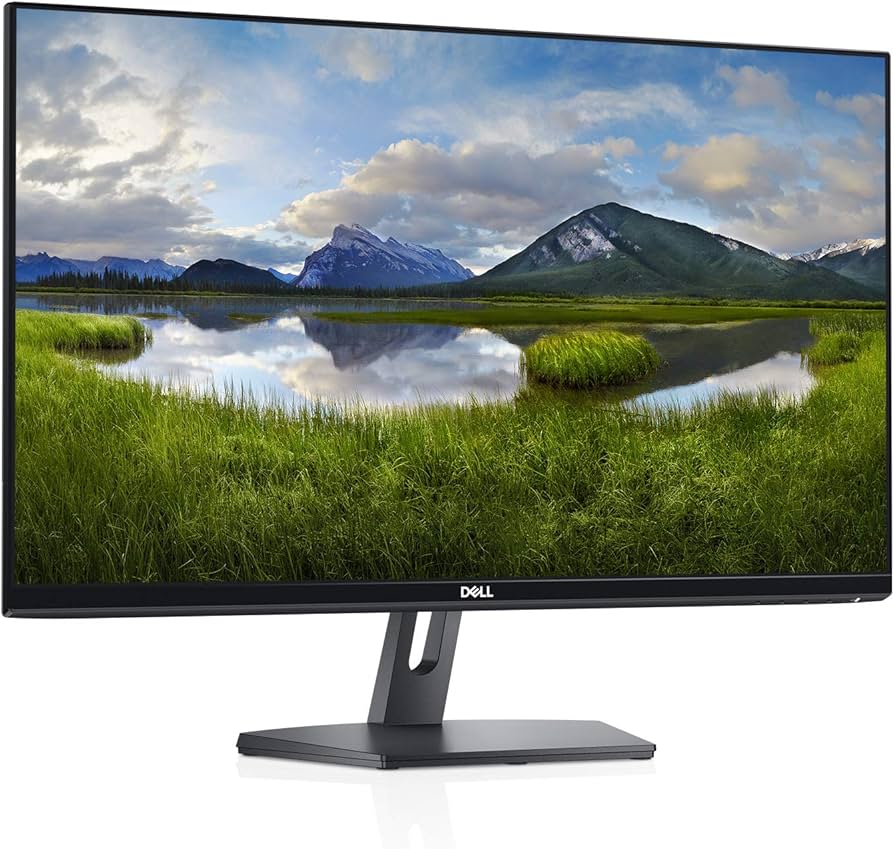 Amazon.com: Dell SE2419Hx 23.8