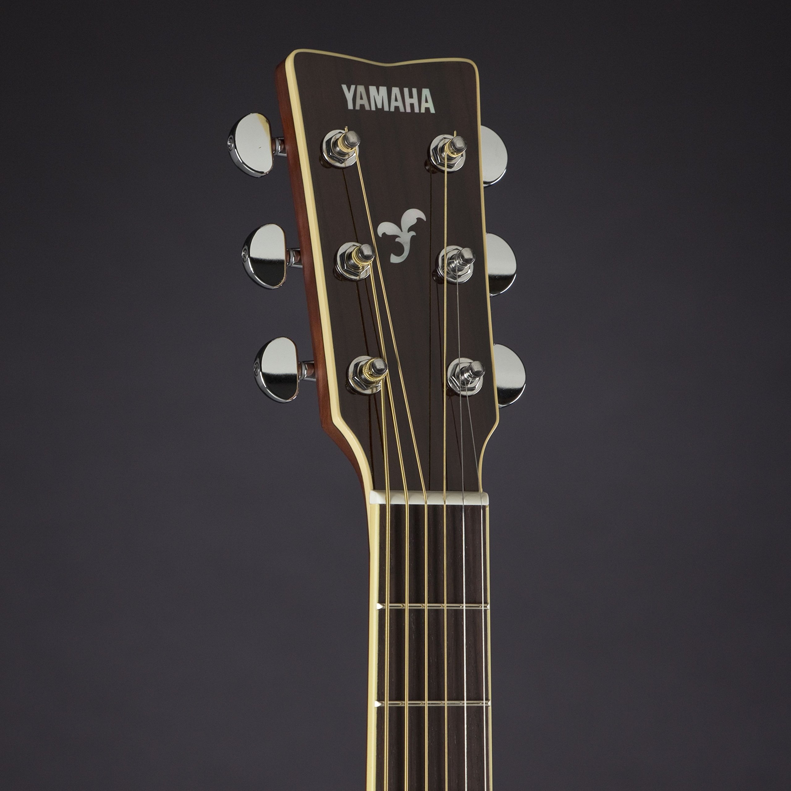 Amazon.co.jp: ヤマハ(YAMAHA) アコースティックギター FS830DSR