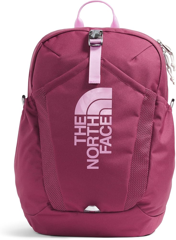 Amazon.com | THE NORTH FACE Teen Mini Recon Backpack, Cyber Berry