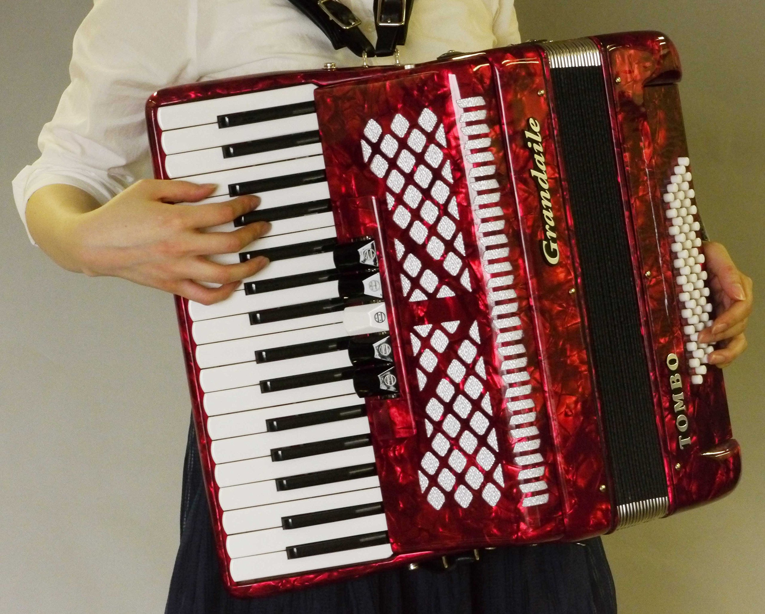 Amazon | TOMBO トンボ アコーディオン 独奏用 GT-60B パッション