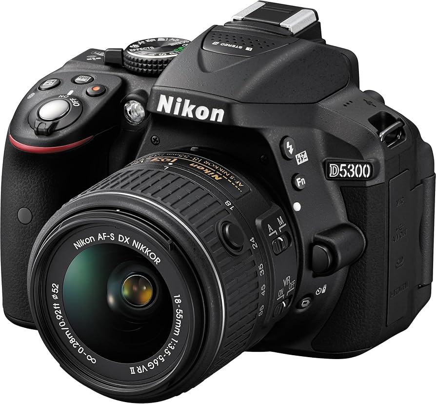 Amazon.com : Nikon D5300 24.2 MP CMOS Digital SLR Camera with 18
