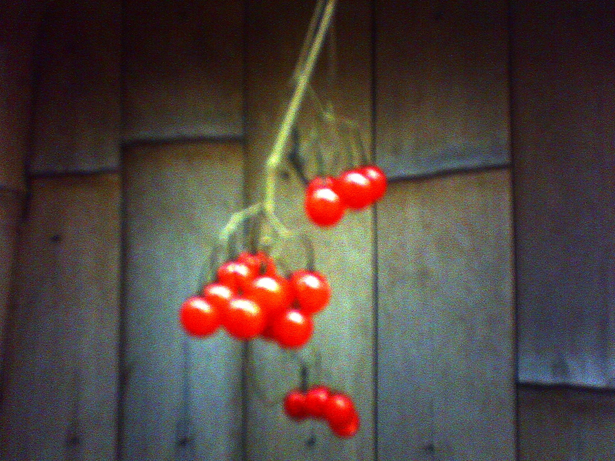 Amazon.co.jp: デジタルハリネズミ2++ Digital Harinezumi2++ デジハリ