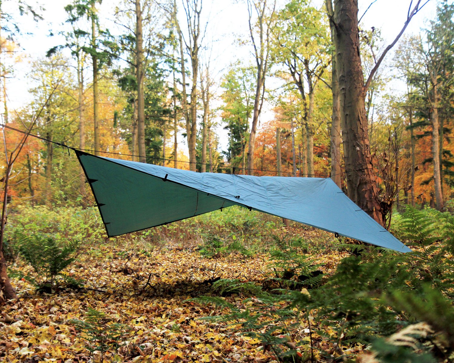 DD Hammocks - DD Tarp 4x4 - verde-oliva: 4 m x 4 m | Amazon.com.br