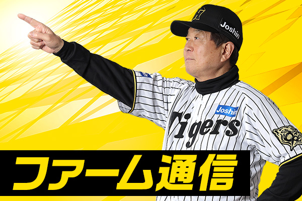 ニュース - ファーム通信 - 早川太貴選手｜阪神タイガース 公式サイト