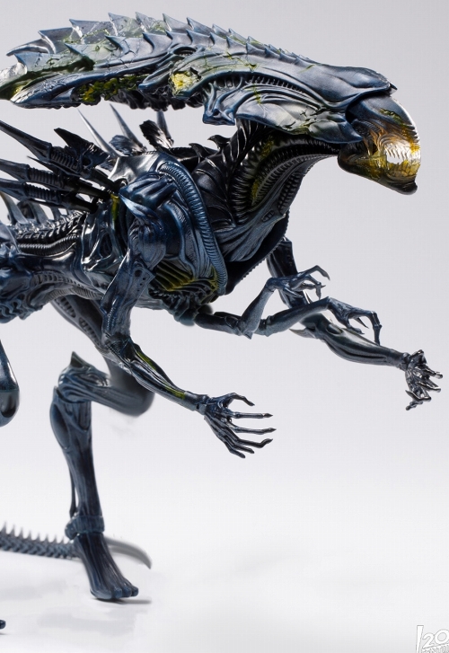 エクスクイジットミニシリーズ/ AVP エイリアン vs プレデター