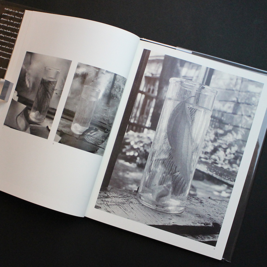 Still Lifes - Josef Sudek