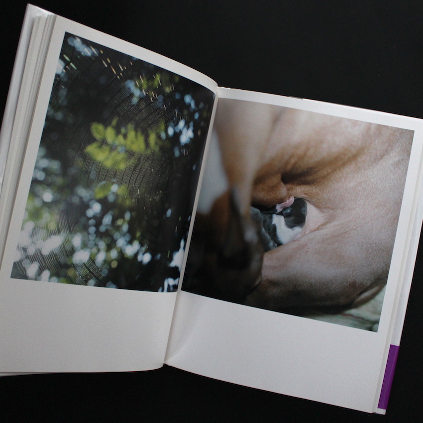 アイーラ（改訂版, 署名） / Aila（Revise Edition, Signed） - 川内