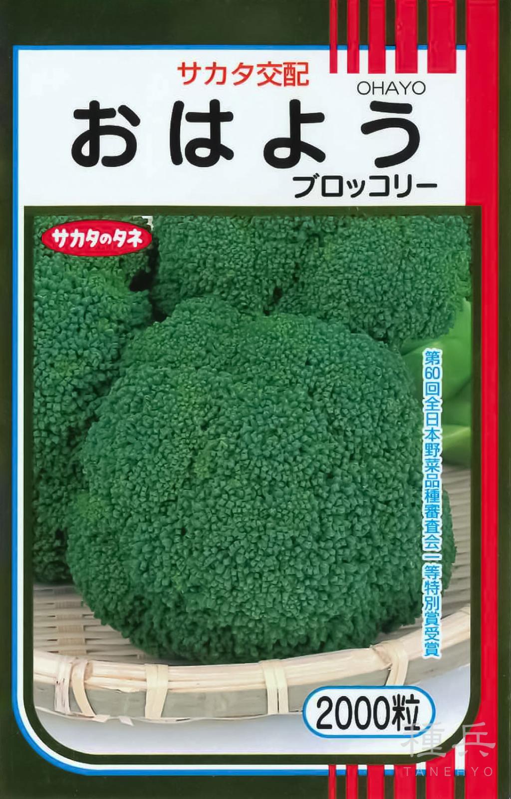ブロッコリー 種 『おはよう』 サカタのタネ | たね,葉菜の種