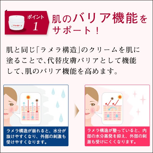 テラの輝きモイスチャークリーム 詰替パウチ400g｜トータルヘルス