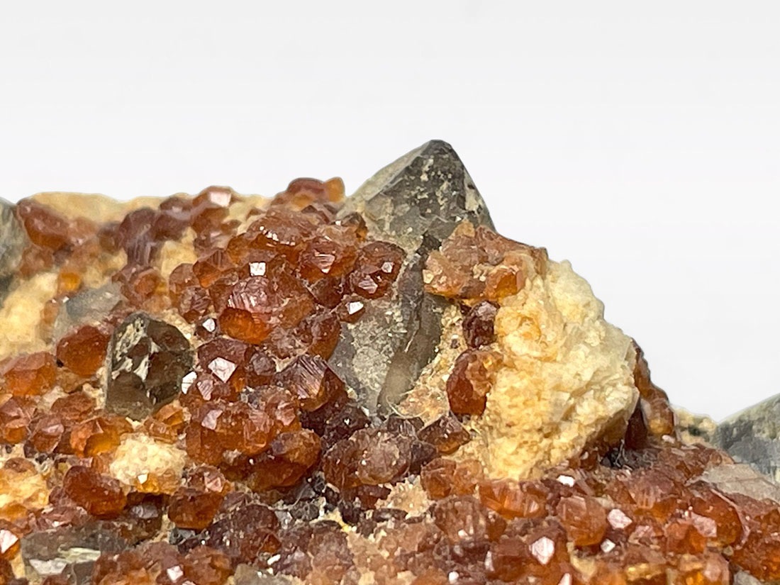 福建省 スぺサルチンガーネット / スモーキークォーツ