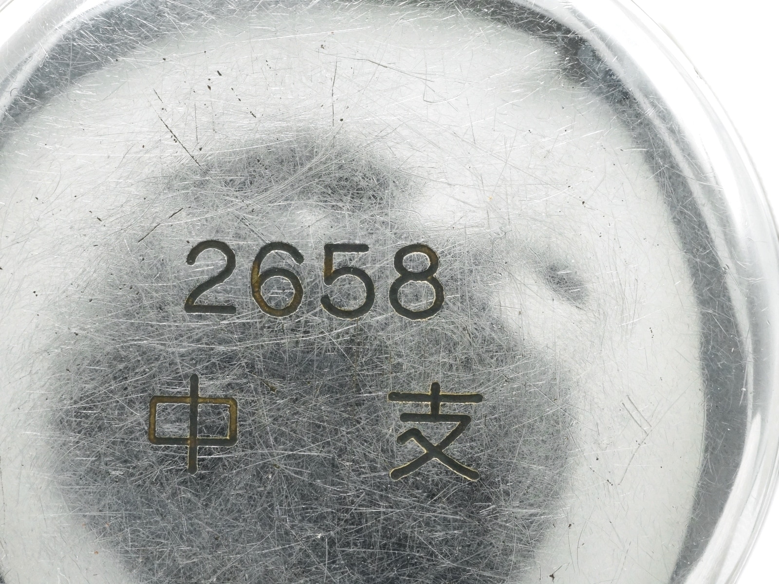 セイコー プレシジョン 懐中時計 鉄道時計 中支 黒針 セコンド