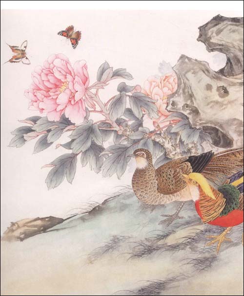 キジ 工筆画法 中国画画法 中国絵画/锦鸡工笔画法