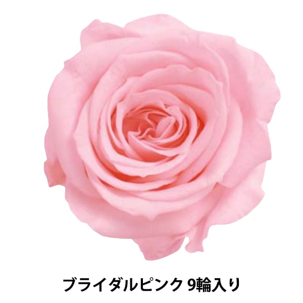プリザーブドフラワー 『ローズ いずみ ブライダルピンク 9輪入り