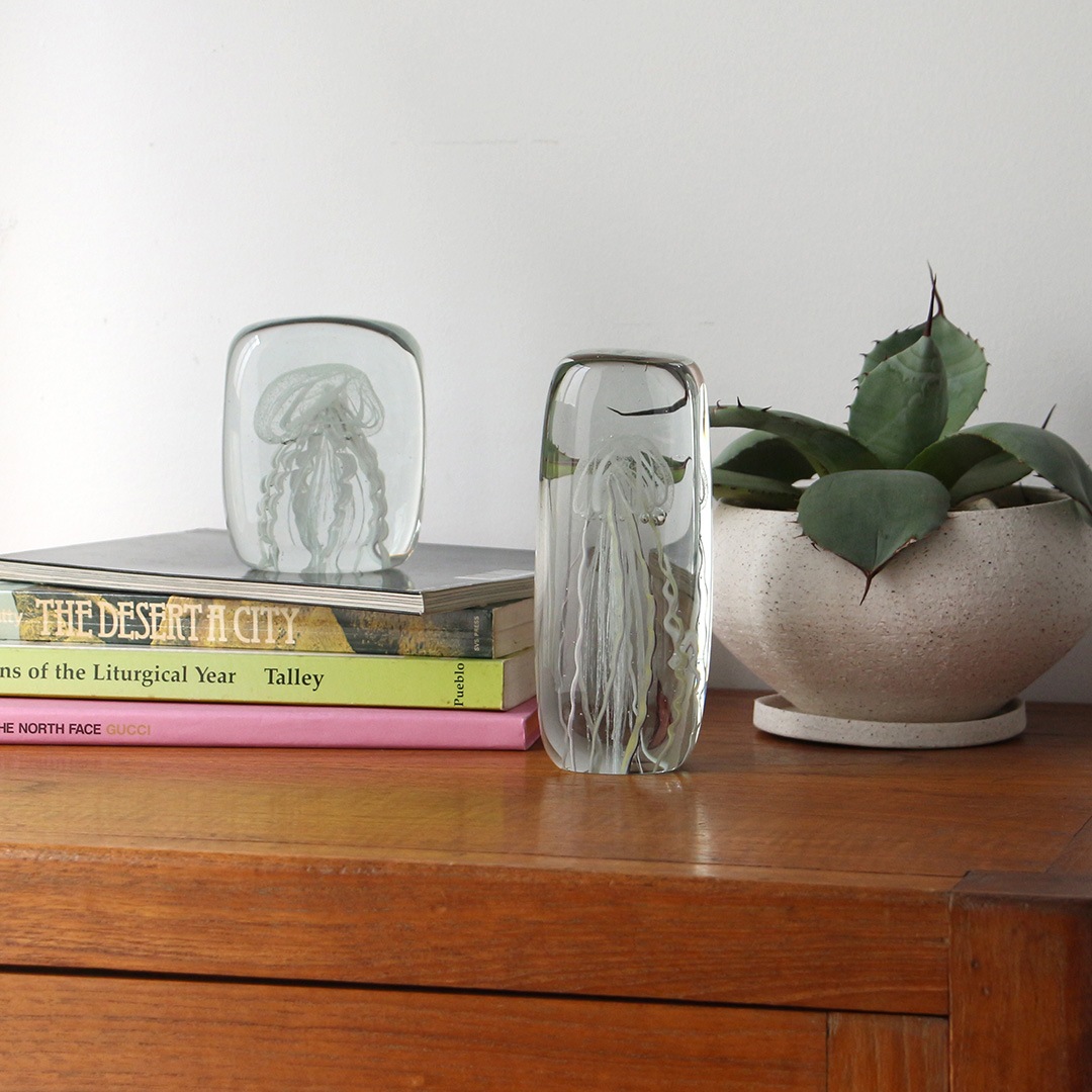 ジェリーフィッシュ ツイストレッグ 