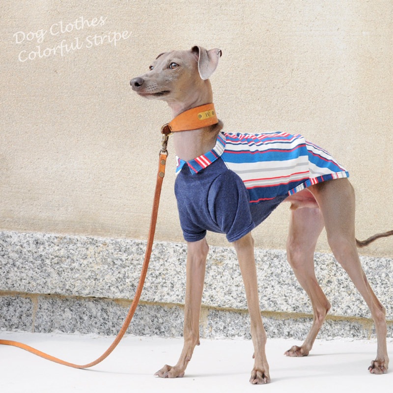 犬服｜カラフルストライプ「ドレスコードカスタマイズも可能」｜選べる