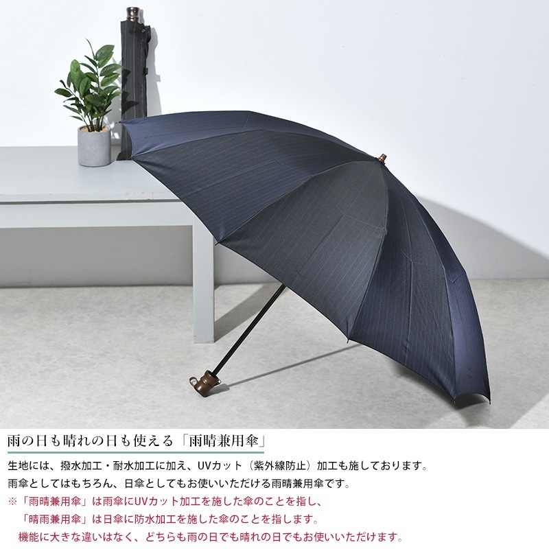 2_000000008117.jpg?1721882199