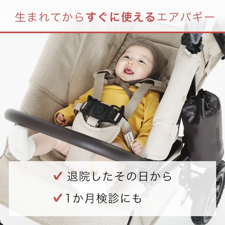 エアバギー AirBuggy ココ プレミアフロムバース アースグレー 通販