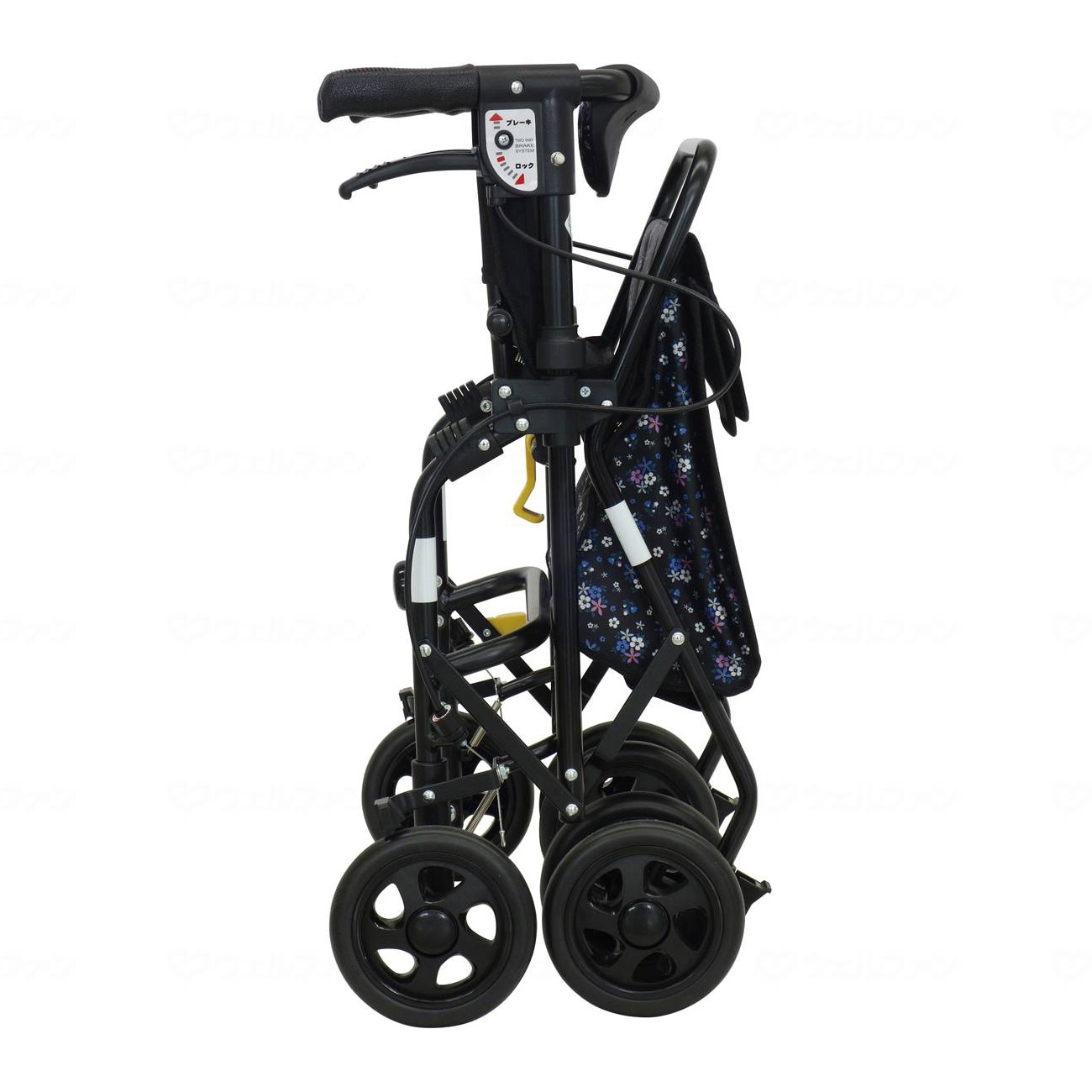 手渡希望☆アルペール SAYA wood leg 中古2脚 イタリア2019製 SAYA