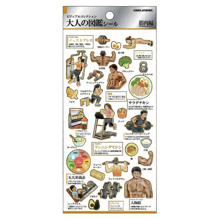 カミオジャパン 大人の図鑑シール 筋肉 ビジュアルが大人気の大人の